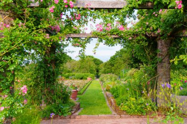Rosenhoehe Park 'ında çiçeklerle ve yeşilliklerle dolu güzel bir bahçe yolu..