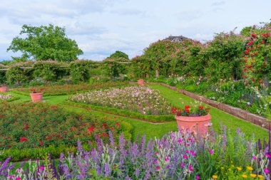 Yeşillikler ve Darmstadt 'taki Rosenhoehe Park' ın dekoratif saksılarıyla çevrelenmiş çeşitli renklerde canlı çiçeklerle dolu yemyeşil bir çiçek bahçesi..