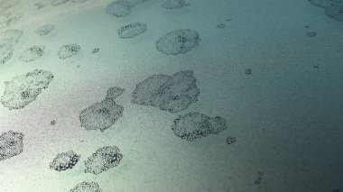 Arabanın ön camında veya ön camında don izleri var.