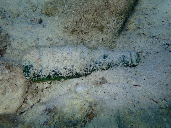 Sampah Bawah Air Botol Kaca Laut Aegean Yunani Pulau Thasos — Stok Foto