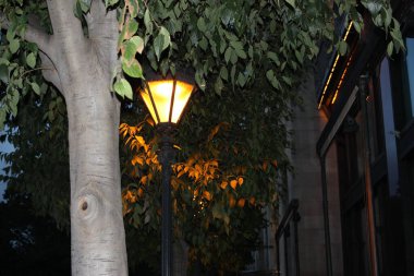 Budapeşte, Macaristan 'da gece çalışan sokak lambaları