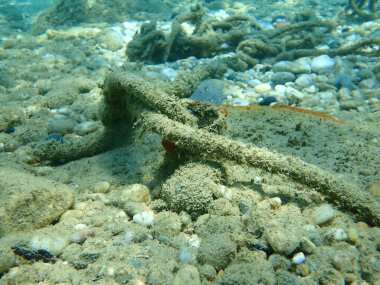 Tipik yasadışı deniz altı demirleme, Ege Denizi, Yunanistan, Halkidiki. Deniz kirliliği ve dalgıçlar ve yüzücüler için tehlike.