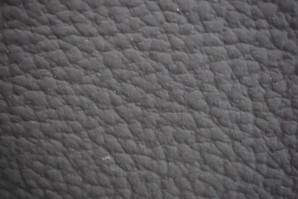 Car Seat Gray Natural Leather Texture Extreme Close — Stock Photo, Image