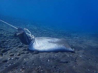 Deniz tabanı, Ege Denizi, Yunanistan, Santorini Adası, Kamari Sahili 'nde çapa ve plaj şamandırası halatı