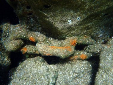 Denizaltı, Ege Denizi, Yunanistan, Santorini adası.