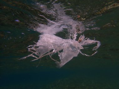 Suyun altında plastik çöp, Ege Denizi, Yunanistan, Halkidiki, Kakoudia plajı. Deniz kirliliği.