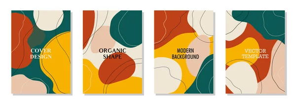 Set Poster Artistici Parete Brochure Modelli Volantino Linea Organica Forme — Vettoriale Stock