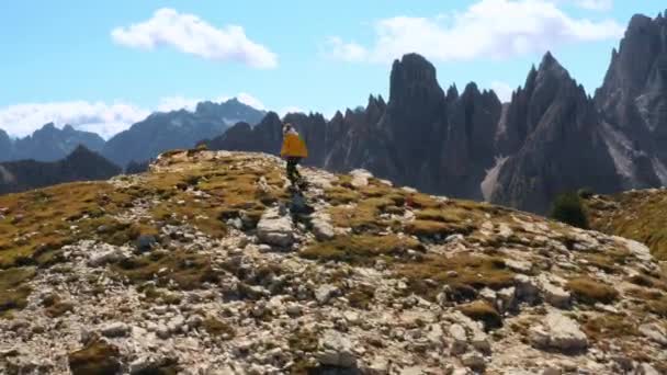 Turista Femenina Corre Cima Del Borde Montaña Alegremente Mujer Levanta — Vídeos de Stock