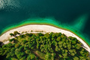 Nehrin yüzeyi üzerinde, kıyıya yakın bir yerde, genç bir ormanla hava manzarası. Çevresel sohbet ve biyolojik çeşitlilik. 