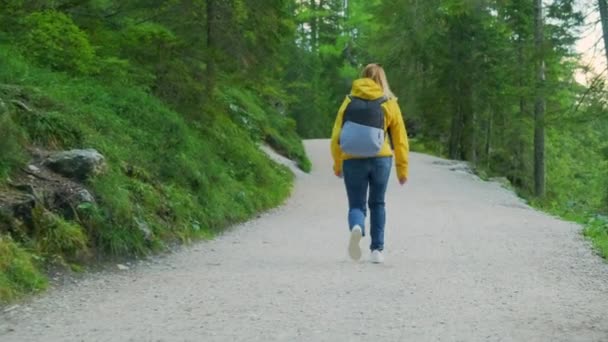 Glückliche Frau Mit Rucksack Springt Auf Straße Wald Mit Grünen — Stockvideo