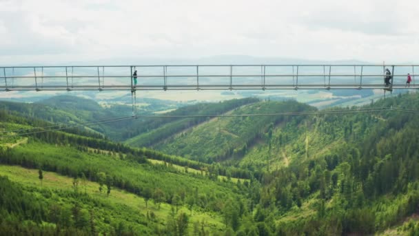 与世界上行走的人一起沿着最长的天桥飞行 捷克共和国Dolni Morava — 图库视频影像