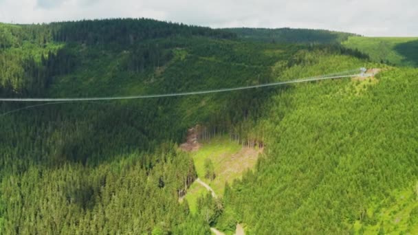 Çek Cumhuriyeti Nde Gökyüzü Köprüsü 721 Orman — Stok video