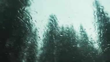 Drops on car glass against mountain forest. Car moving on rainy day and droplets fall on window glass against thick coniferous trees in forest