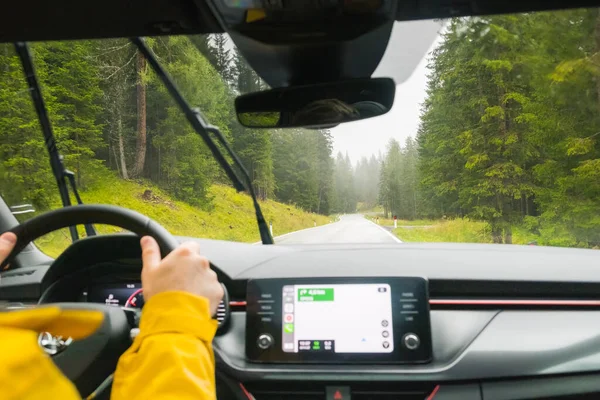 Tourist drives car through pass in Alpine mountains with high trees. Traveler drives automobile with Google navigation on winding road among thick trees in mountain forest, January 2023, Belluno