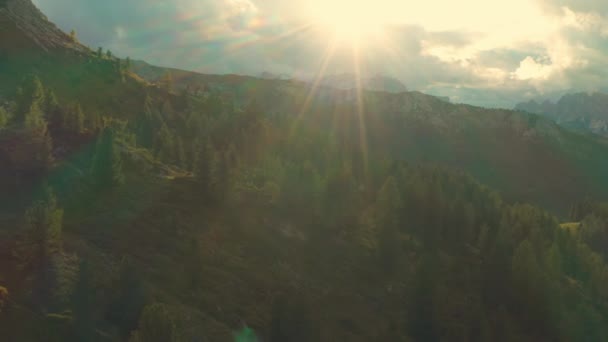 Bright Sunlight Illuminates Treetops Large Forest Highland Giant Forestry Mountains — Stockvideo