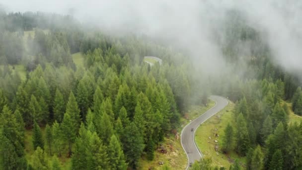 Tourists Drive Snake Road Surrounded Green Forests Meadows Covered Fog — Video
