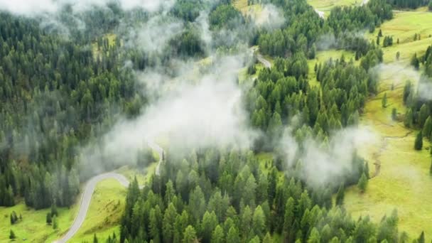 Yılan Yolu Yüksek Dağlık Orman Yamaçları Arasında Hafif Sis Rüzgârlarıyla — Stok video