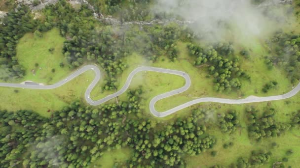Famous Snake Road Surrounded Forests Autumn Meadows Giau Pass Sightseeing — Video