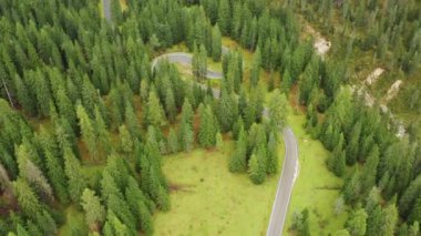 Black car driving on famous Snake Road serpentine surrounded by forests on Giau Pass. Alpine meadows with sightseeing surrounded by mountain ranges