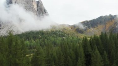 High mountain ranges with autumn brown meadows below covered with mist cloud. Coniferous trees lit by sunlight and surrounded by high mountain rocky cliffs