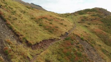 Tourist walks on ground pathway on high grassy slope on Pass Giau on gloomy day. Hiker explores mountains and walks to hill top over green valley