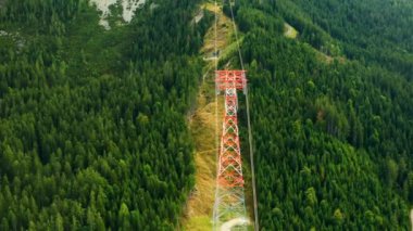 Turn around power tower for transfer of electricity among high trees.