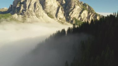 Forestry and rocky mountains surrounded by dense fog in sunny summer morning. Scenic Alps under clear blue sky at sunrise aerial view