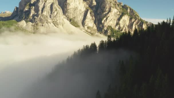 Forestry Rocky Mountains Surrounded Dense Fog Sunny Summer Morning Scenic — Video Stock