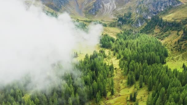 Forêts Conifères Avec Clairières Entourées Collines Rocheuses Hautes Chaînes Montagnes — Video