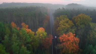 Yoğun ormanlar boyunca sisle kaplı uzun otobanlar uzanıyor. Araba iki şeritli yolda ilerliyor. Ağaçlar sarı, ağaçlar yeşil. Gökyüzü manzaralı.