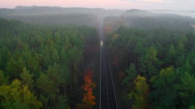 Farları açık araba ormanda iki şeritli yolda sisle kaplı. Ormanda kasvetli bir sonbahar akşamı. Yoğun bitki örtüsü, hava manzaralı.