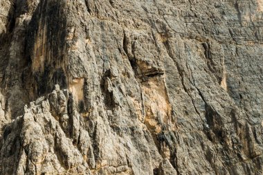 Alp dağlarındaki yüksek dağ kayalıkları.
