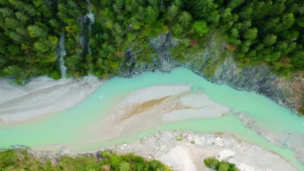 Lush Green Trees Grow Piave River Turquoise Water Running Italian — Stock Video