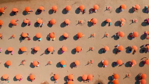 Oranje Parasols Ligstoelen Geïnstalleerd Druk Strand Warme Zomerdag Toeristen Genieten — Stockvideo