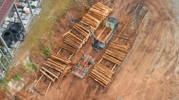 Těžké Stroje Vykládají Dřevěné Kmeny Pokácených Lesních Stromů Řadách Nakladač — Stock video