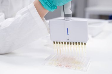 DNA veya kan testi için mikro plakaları yüklemek için bilim adamları tarafından çok kanallı bir pipet dağıtıcısı kullanılır, Mayıs 2023, San Francisco, ABD. 