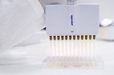 Mikro plakalar Eppendorf çok kanallı pipet dağıtıcısı kullanan bilim adamları tarafından yükleniyor, Mayıs 2023, San Francisco, ABD. 