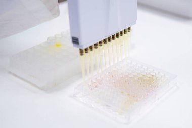 Bilimadamları, klinik tanısal testler için mikroplakaları yüklemek için çok kanallı bir pipet dağıtıcısı kullanıyorlar.,