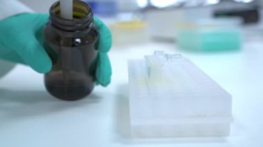 Lastik eldivenli bilim adamı modern laboratuarda idrar testi yapıyor. Uzman, masa başında pipetli cam tüplere sarı sıvı döküyor.