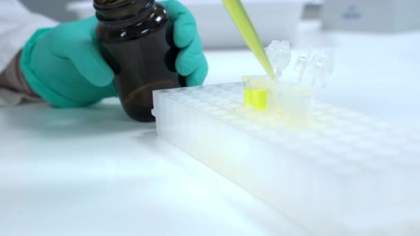 Trabalhador Laboratório Luvas Estéreis Faz Teste Urina Científica Sentado Mesa — Vídeo de Stock