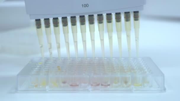 Trabalhador Laboratório Faz Teste Urina Usando Distribuidor Pipeta Multicanal Especialista — Vídeo de Stock