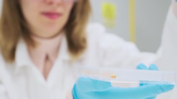 Labormitarbeiter Gießen Mit Einer Automatischen Pipette Gelbe Flüssigkeit Kleine Röhrchen — Stockvideo