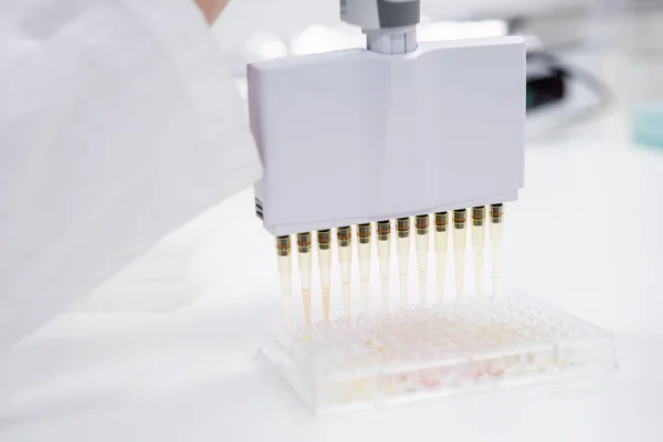 化验室工作人员使用多通道输卵管分配器来填充用于肿瘤学检查的微板 — 图库照片