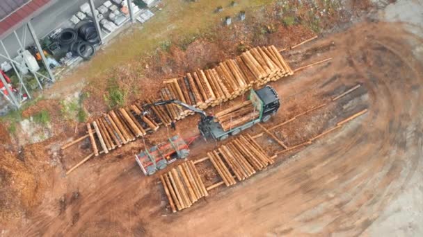 Ładowarka Stawia Drewniane Kłody Długim Rzędzie Wiejskim Tartaku Ciężka Maszyna — Wideo stockowe