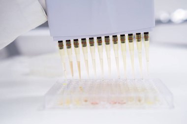 Kan testi için mikro plakaların doldurulması bilim adamı tarafından çok kanallı bir pipet dağıtıcısı kullanılarak gerçekleştirilir..