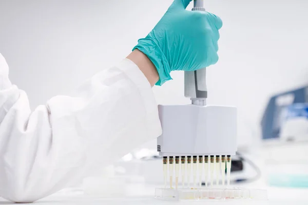 Forskare Använder Flerkanalig Pipettdispenser För Att Ladda Mikroplattor För Mikrobiologisk — Stockfoto