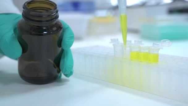 Мікробіологічний Аналіз Сечі Лабораторії Наукової Клініки Вчені Стерильних Рукавичках Вливають — стокове відео