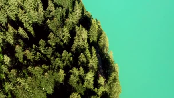 Luftaufnahme Des Sees Und Der Küste Mit Hohen Nadelbäumen Und — Stockvideo