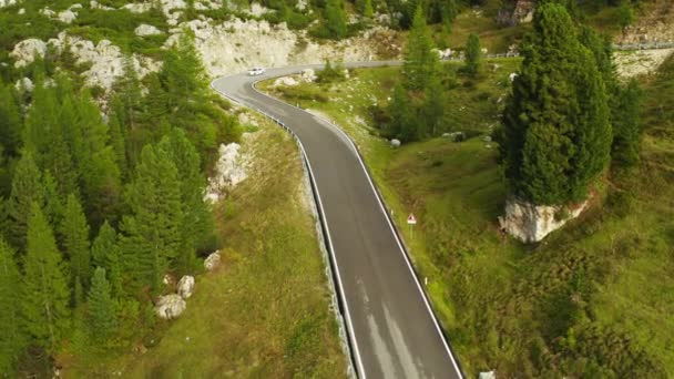高地的弯道穿过针叶林 空中景观展示了森林山脉中风景秀丽的蛇形高速公路上的白色轿车 — 图库视频影像