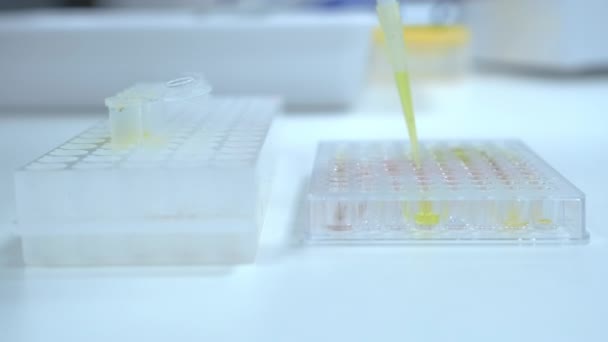 Enchimento Microplacas Usando Pipeta Automática Para Teste Elisa Ensaio Imunológico — Vídeo de Stock